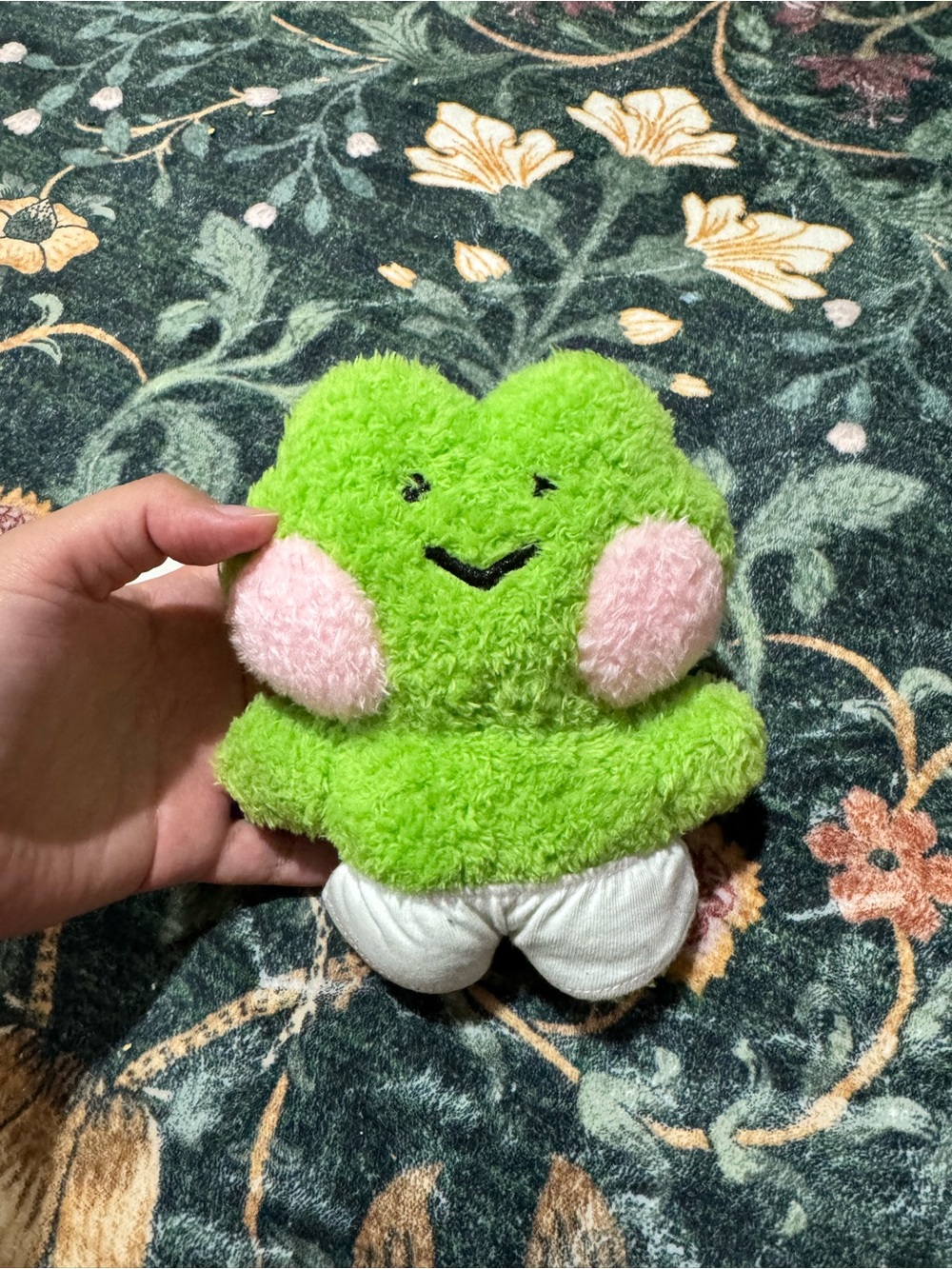 Kakao Friends Lenini plush bundle